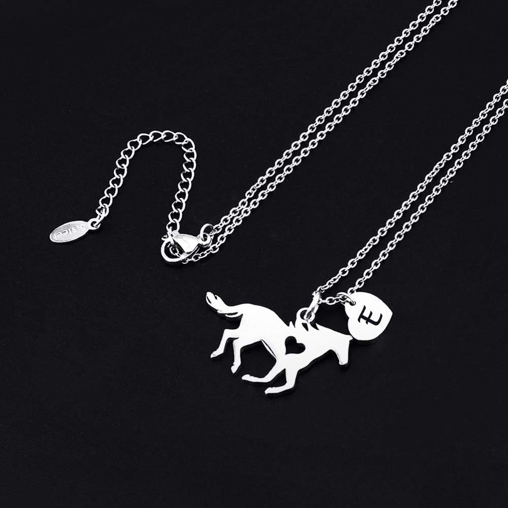 Horse Necklace for Girls - Dainty Pendant Heart 26 Initial Jewelry for Women, Kids, Horse Lovers